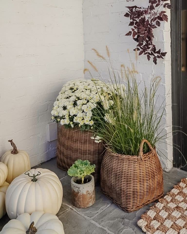 Wicker baskets of white mums and ornamental grasses beside white pumpkins